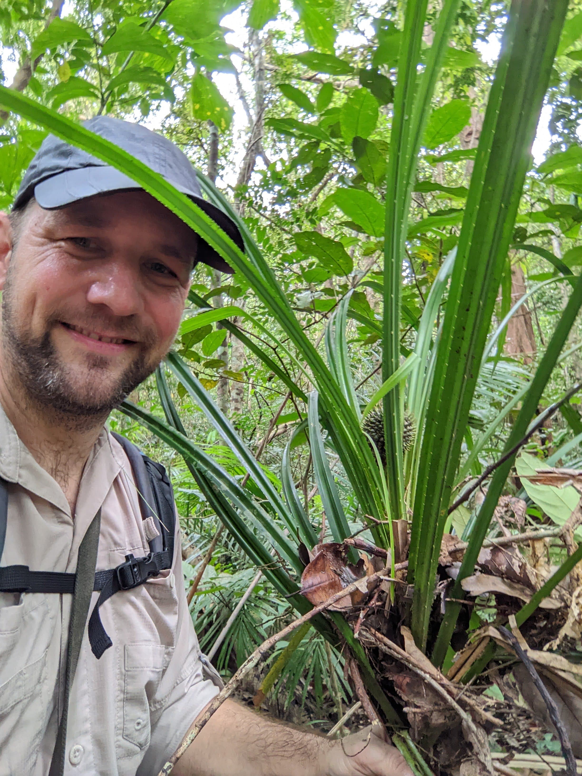 Dr. Sven Buerki collecting a Pandanaceae in Thailand.