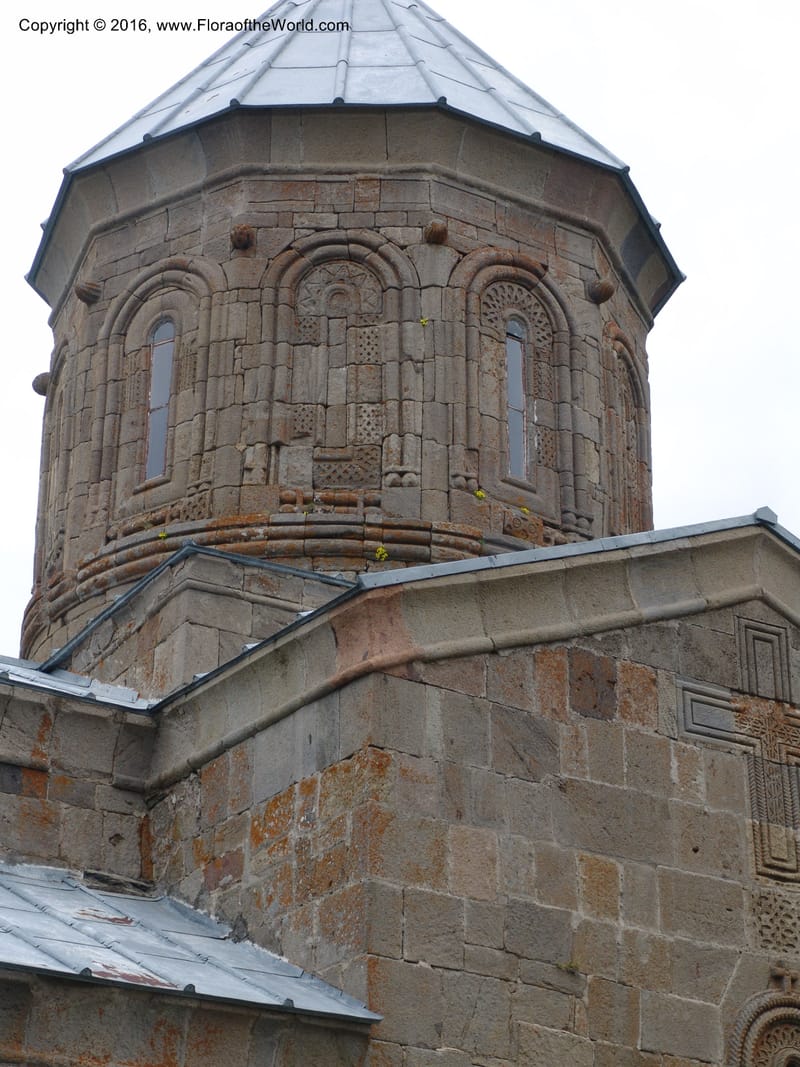 Georgia. Sameba Church. Kazbegi . Trail-road to Sameba Church. 2 Jun 05. 454 (4).jpg