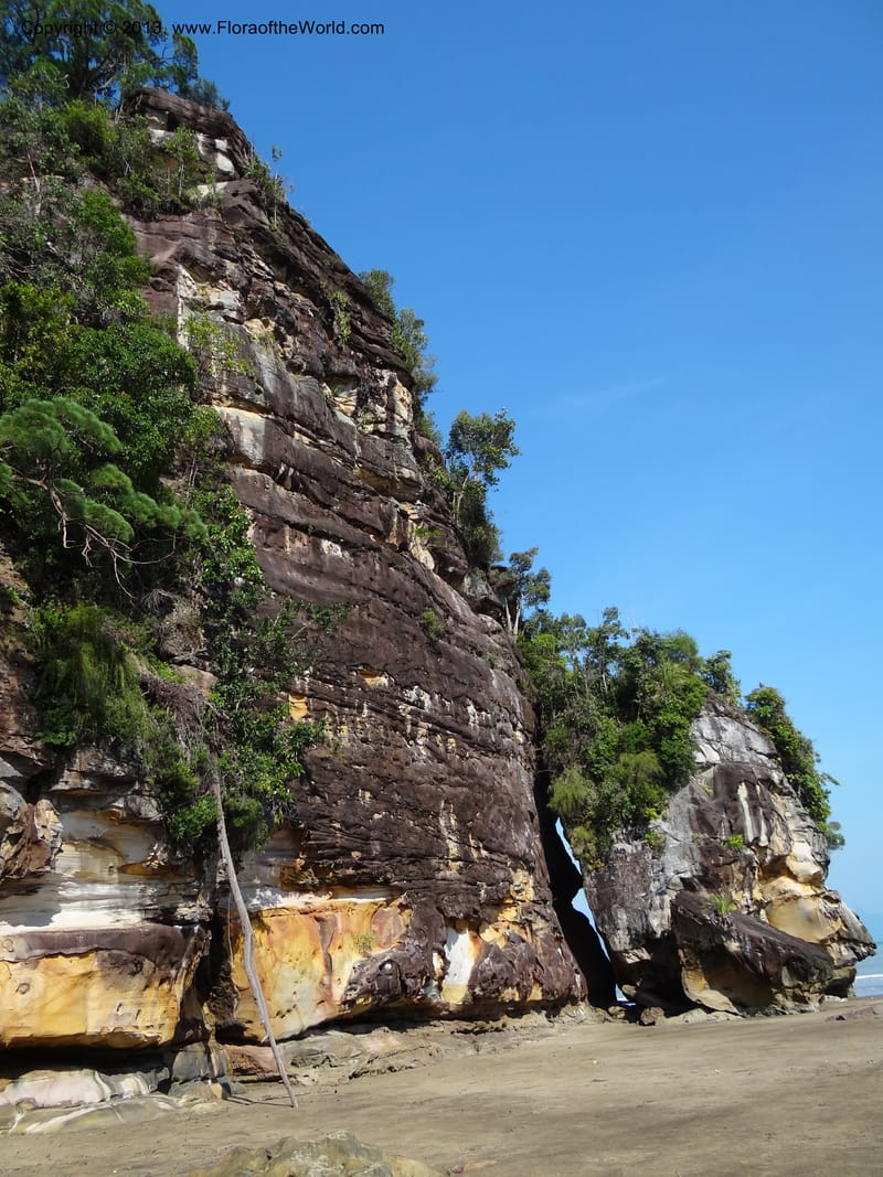 Malaysia, Sarawak. Bako Nat. Park. Beach. 31 Mar 2012. DSC06362 (43).JPG