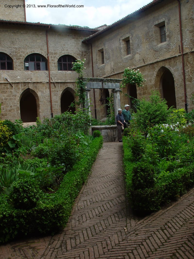 Courtyard garden, the lower monastery at Subiaco--Italy. (4).jpg