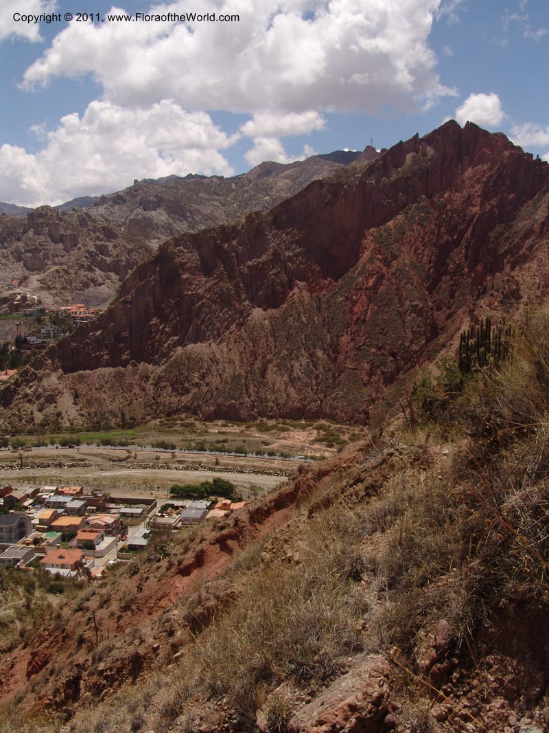 Bolivia. La Paz. Send. Aguila. 4 Dec 04. 003.jpg