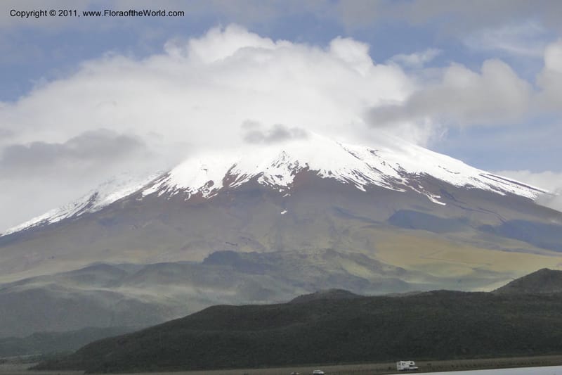 Ecuador. P. N. Cotopaxi. 3 Jun 2011. 209.jpg