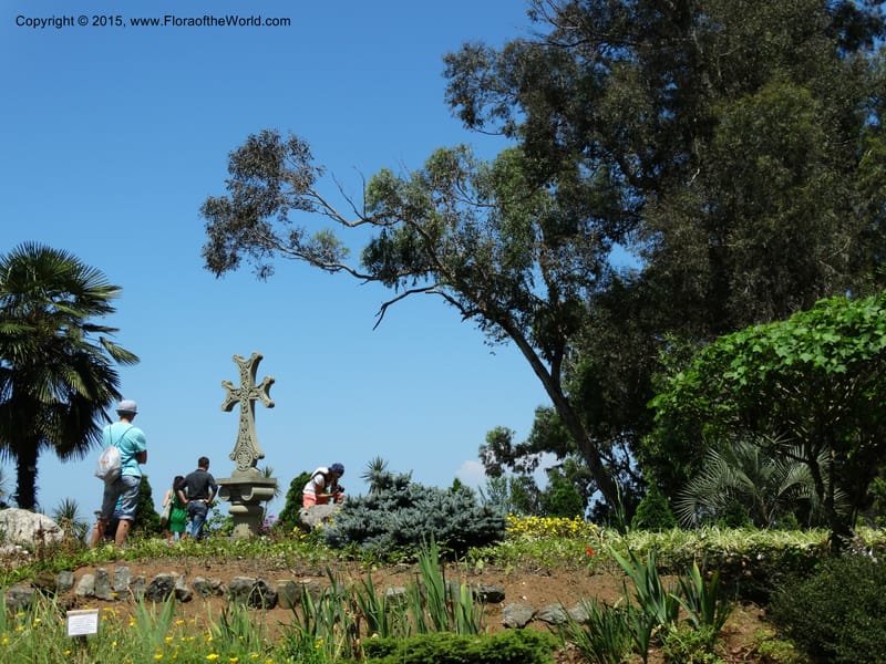 Batumi Botanical Garden. 10 Jun 2014. DSC08235 (68).JPG