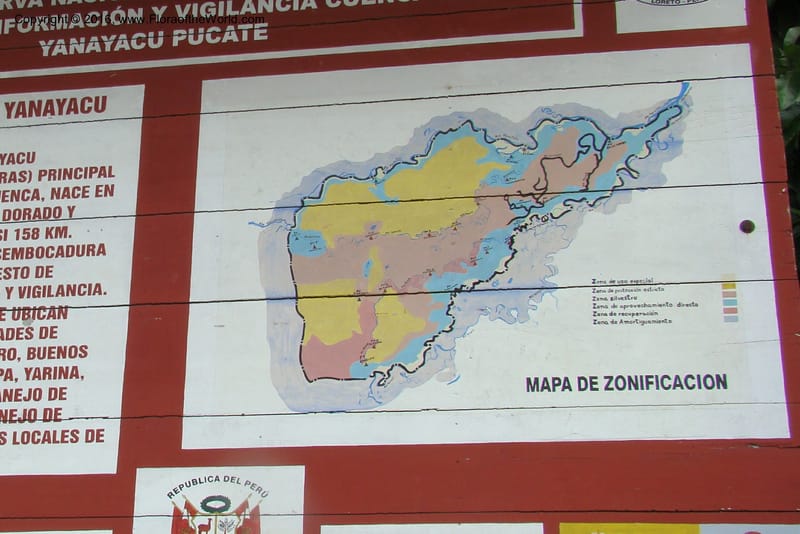 Peru. Loreto. Distr. Nauta. Parq. Nac. Pacaya Samiria. 4 Nov 08. 018.jpg