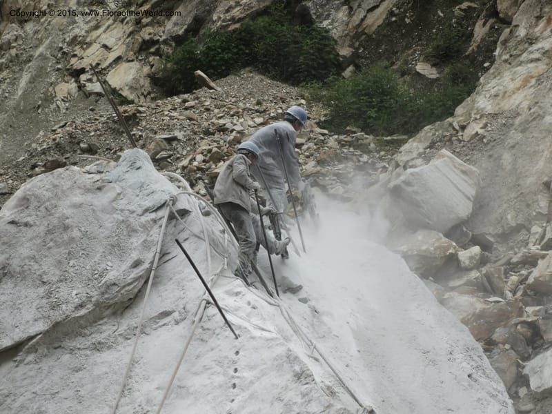 China. Sichuan. GuoBaiAn to YangLiuPing. 14 May 2014. DSC06781 (155).JPG