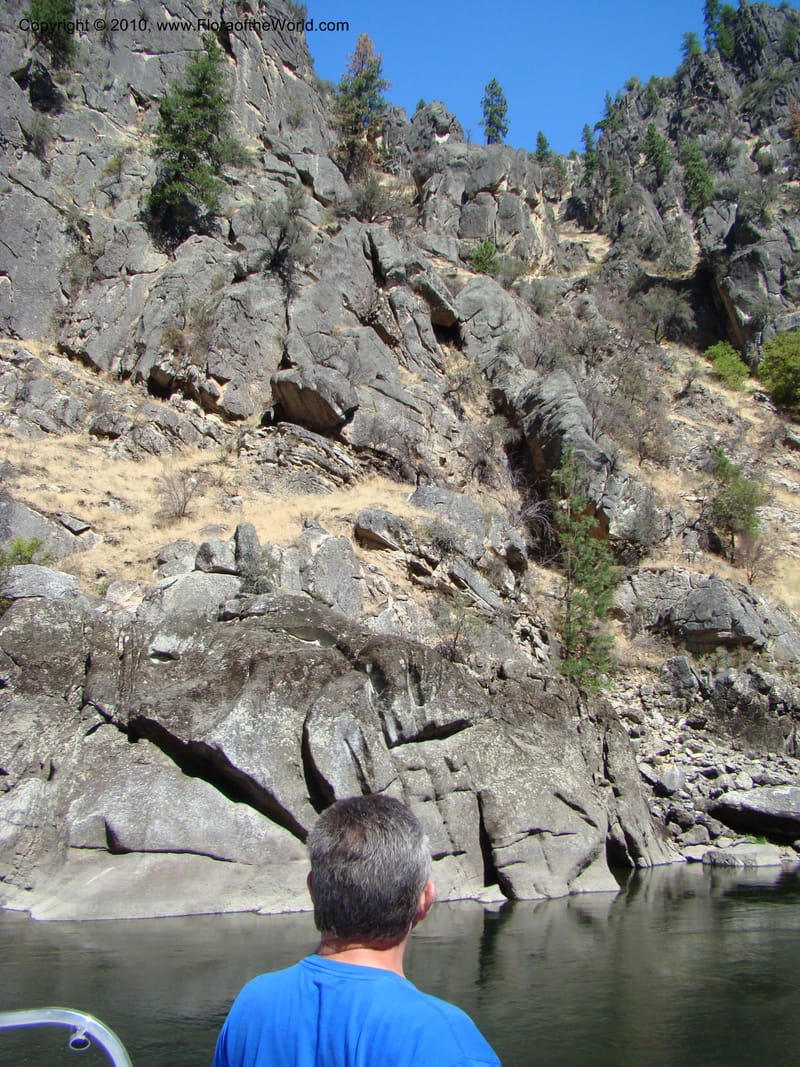 ID. Idaho Co. Main Salmon River. 26 Aug 08. 055.jpg