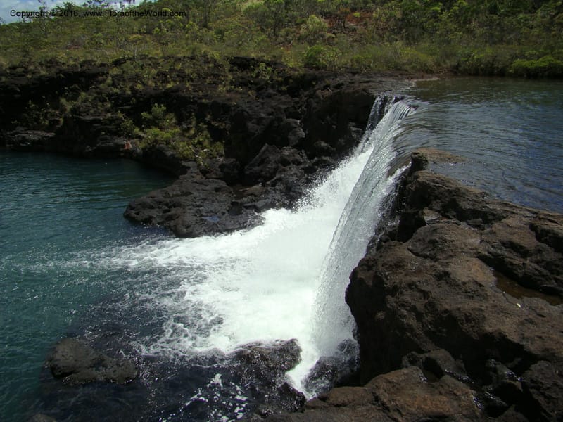 New Caledonia. 512.jpg