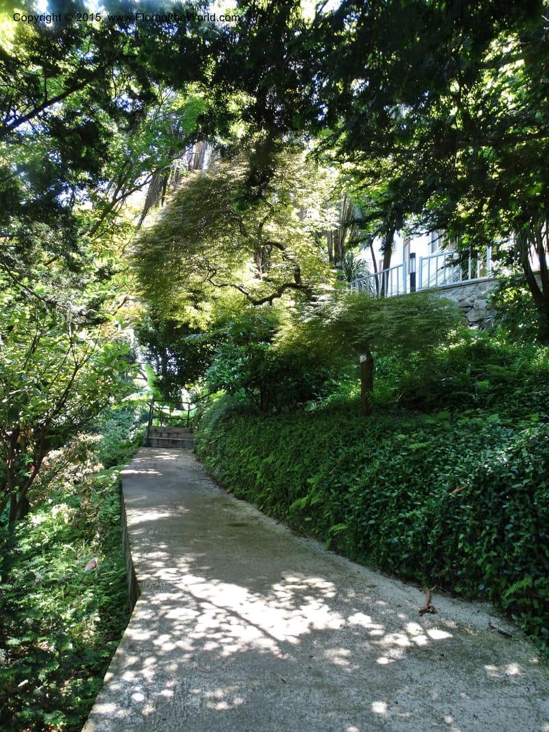 Batumi Botanical Garden. 10 Jun 2014. DSC08235 (8).JPG