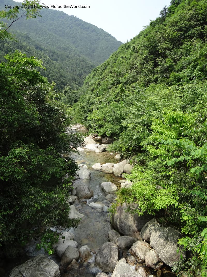 China. Zhejiang Prov. Shunxi Village. 28 May 2012. DSC00347 (273).JPG