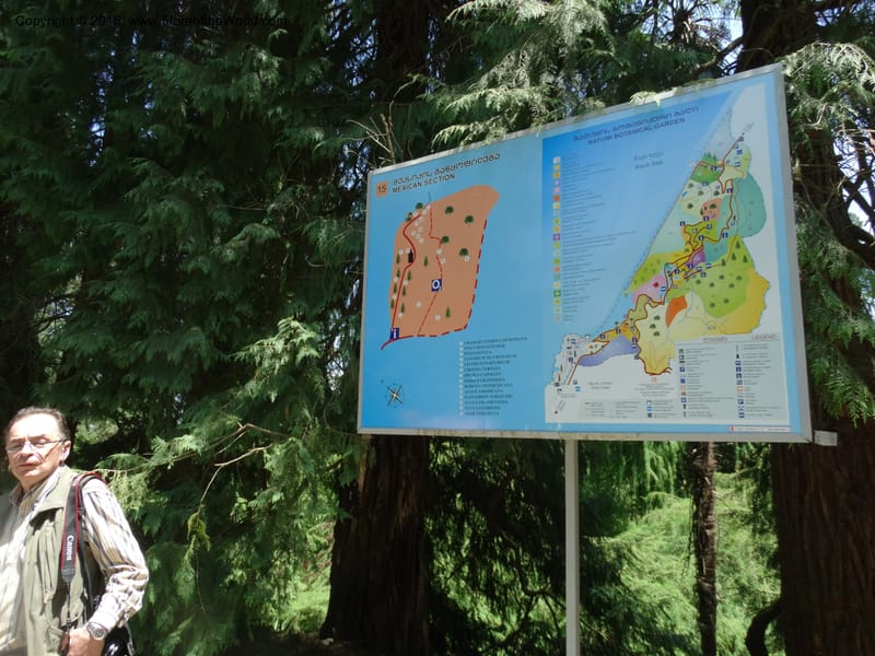 Batumi Botanical Garden. 10 Jun 2014. DSC08235 (95).JPG