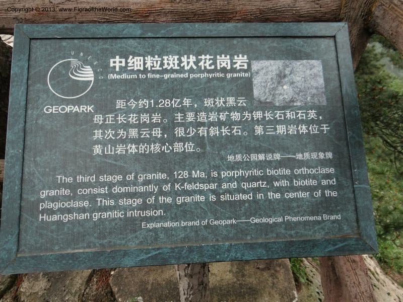 China. Anhui Prov. Huang Shan. 8 Jun 2012. DSC02431 (200).JPG