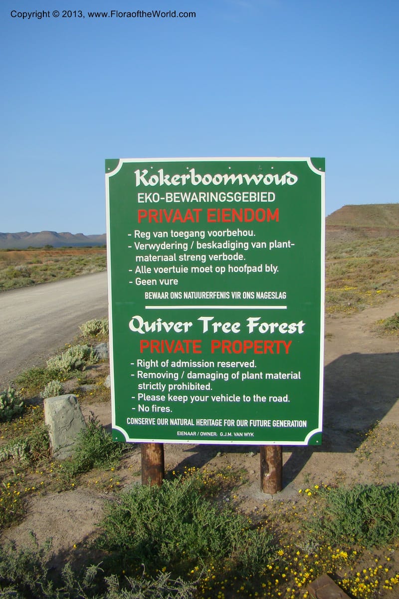 South Africa. Northern Cape. Toward Gannabos. 25 Aug 09. 007.jpg