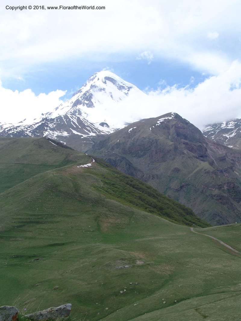 Georgia. Kazbegi Peak. Trail-road to Sameba Church. 2 Jun 05. 467 (10).jpg