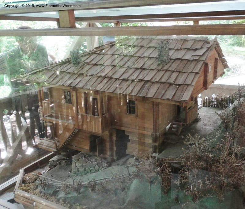 Batumi Botanical Garden. 10 Jun 2014. DSC08235 (85).JPG