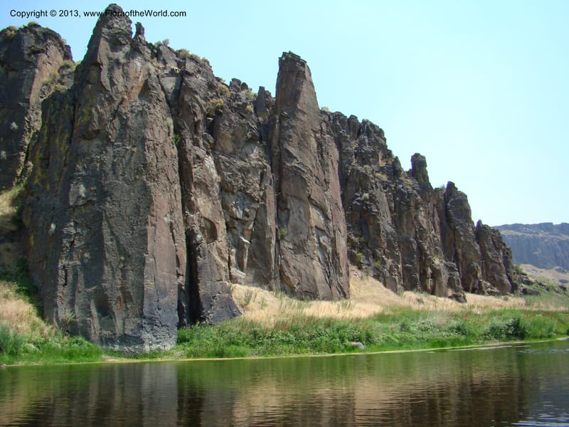 OR. Malheur Co. Owyhee Riv. near Three Forks. 16 Jul 08. 105.jpg