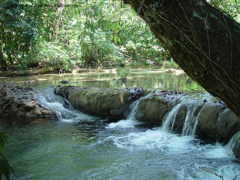 MX. Chiapas. Mpo. Ocozocoautla. 16 Mch 03. 043.jpg