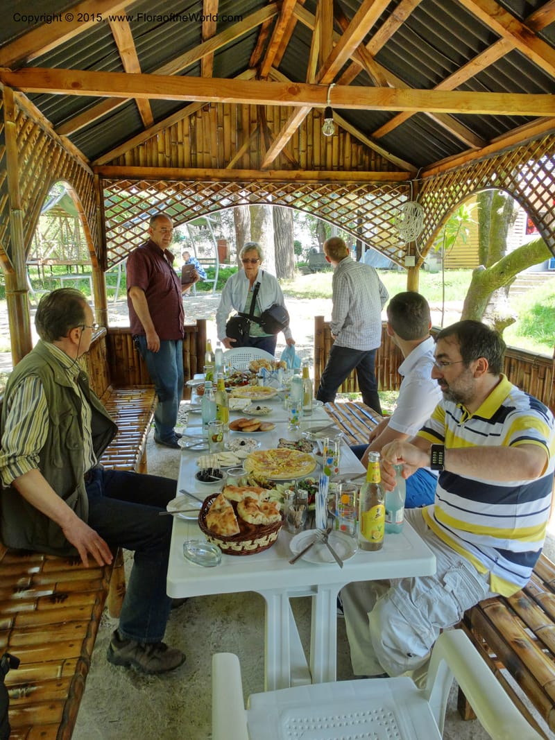 Batumi Botanical Garden. 10 Jun 2014. DSC08235 (115).JPG