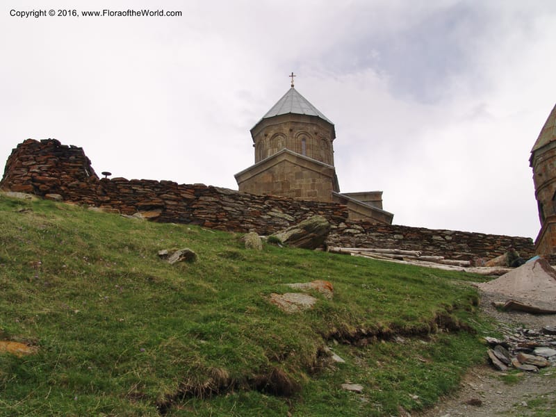 Georgia. Sameba Church. Kazbegi . Trail-road to Sameba Church. 2 Jun 05. 454 (6).jpg