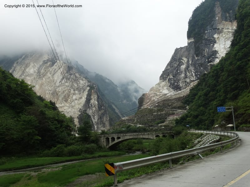 China. Sichuan. GuoBaiAn to YangLiuPing. 14 May 2014. DSC06781 (148).JPG