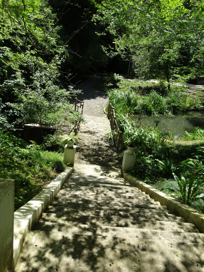 Batumi Botanical Garden. 10 Jun 2014. DSC08235 (72).JPG