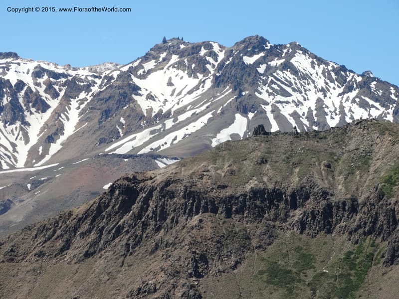 Chile. Ruta 115, to Laguna del Maule. 24 Nov 2014. DSC07486 (531).JPG