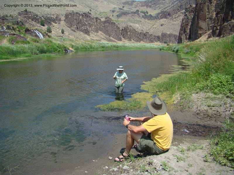 OR. Malheur Co. Owyhee Riv. near Three Forks. 16 Jul 08. 001.jpg