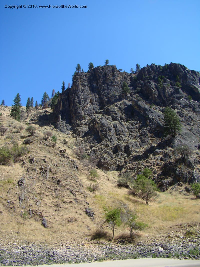 ID. Idaho Co. Main Salmon River. 26 Aug 08. 048.jpg