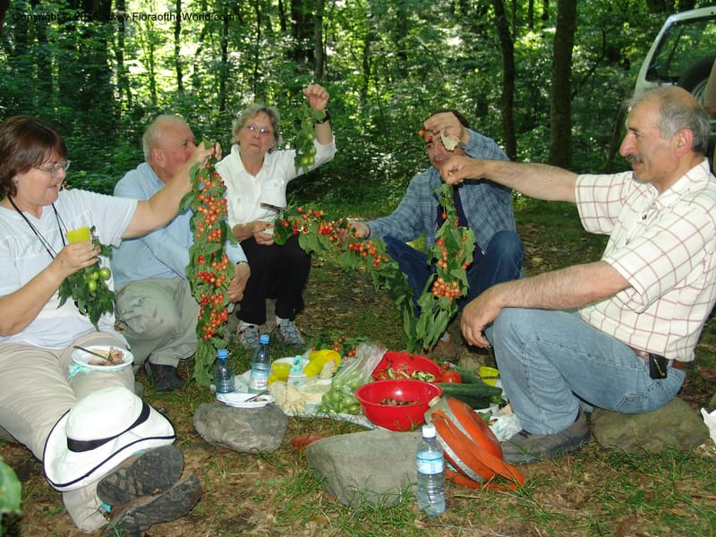 Georgia. Lagodekhi  Forest Reserve. 11 Jun 05. 269.jpg