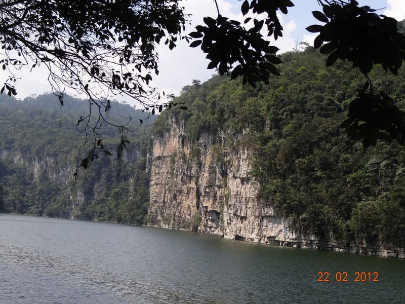 Habitat--Mexico, Chiapas, El Ocote, rio de la Venta 22 Feb 2012  3723 (1).JPG