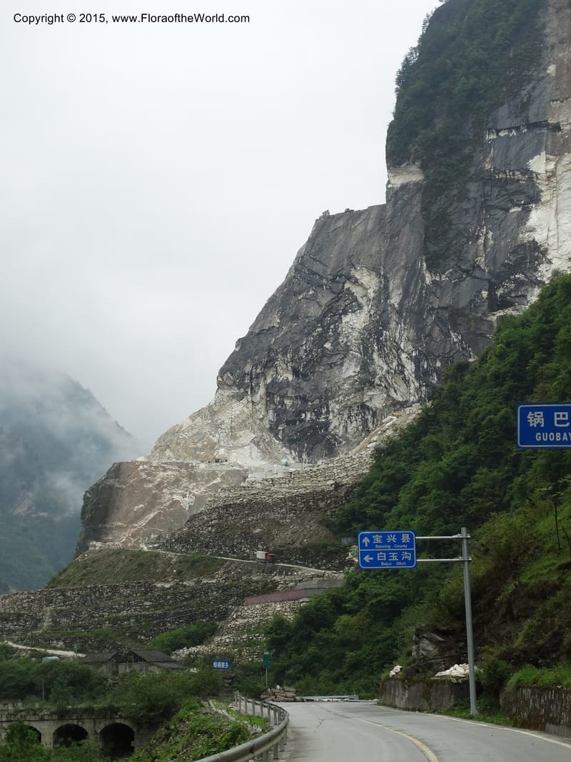 China. Sichuan. GuoBaiAn to YangLiuPing. 14 May 2014. DSC06781 (150).JPG