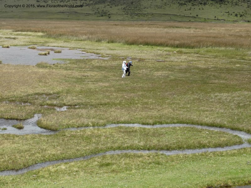 Ecuador. Cotopaxi. 23 Apr 2015. DSC02466 (87).JPG