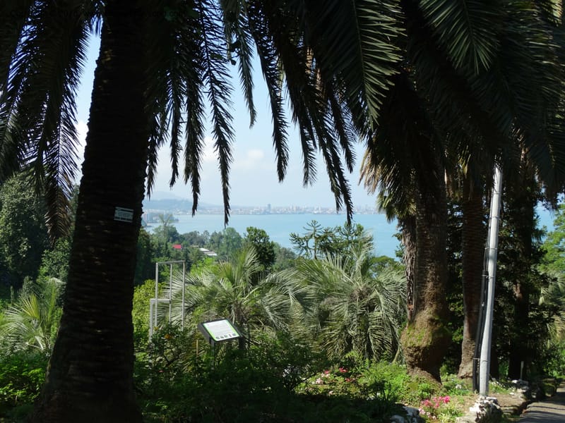Batumi Botanical Garden. 10 Jun 2014. DSC08235 (14).JPG