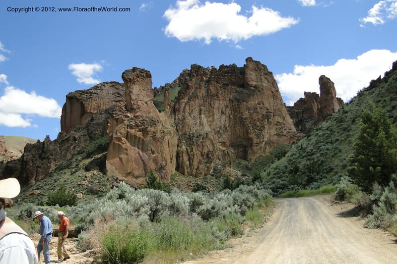 Oregon. Malheur Co. Leslie Gulch. 30 June 2011. 214.jpg
