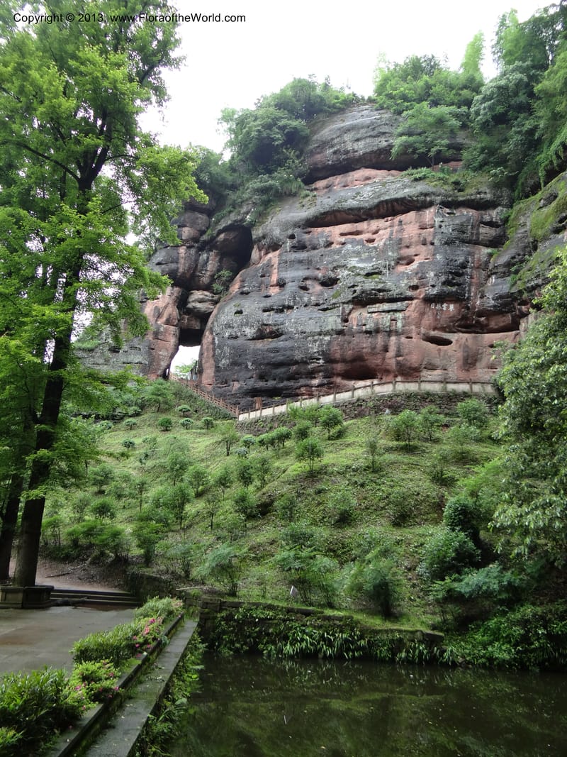China. Anhui Prov. Qiyun Shan. 7 Jun 2012. DSC01929 (105).JPG