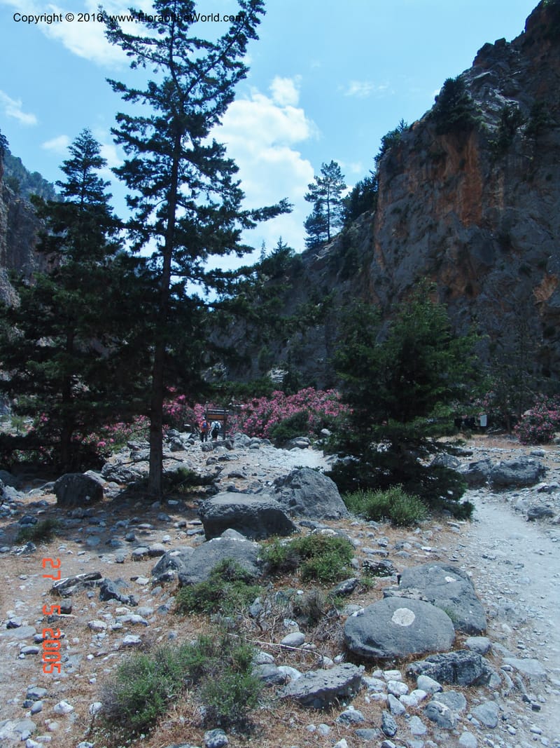 Crete. Samaria Gorge. 27 May 05.219.jpg