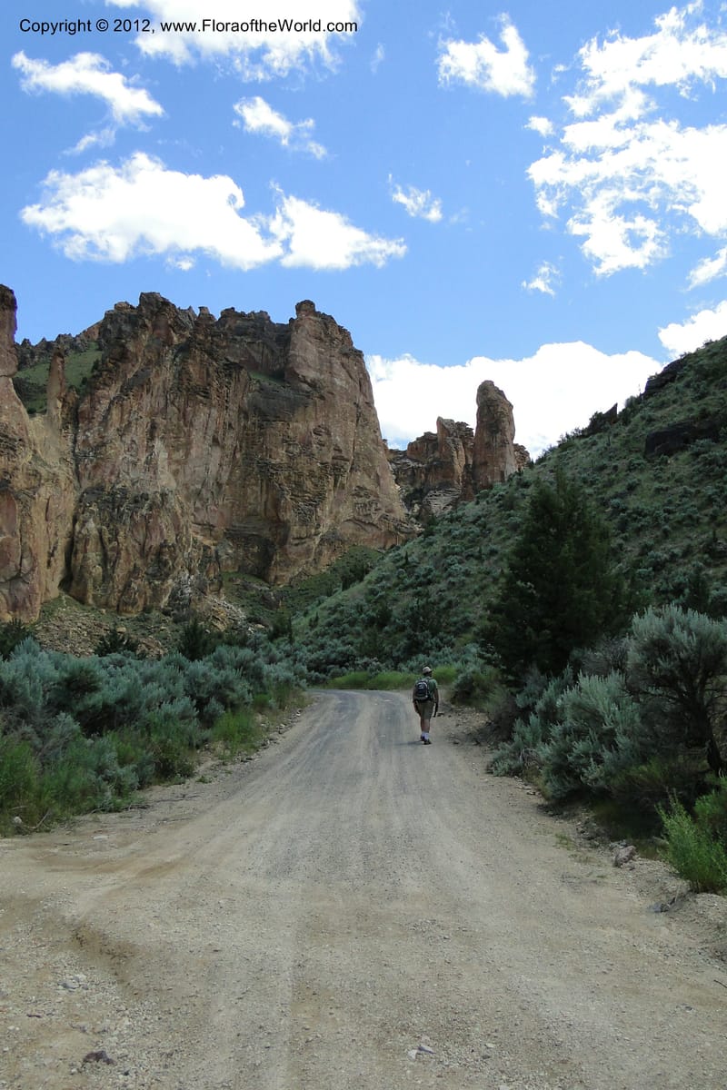 Oregon. Malheur Co. Leslie Gulch. 30 June 2011. 217.jpg