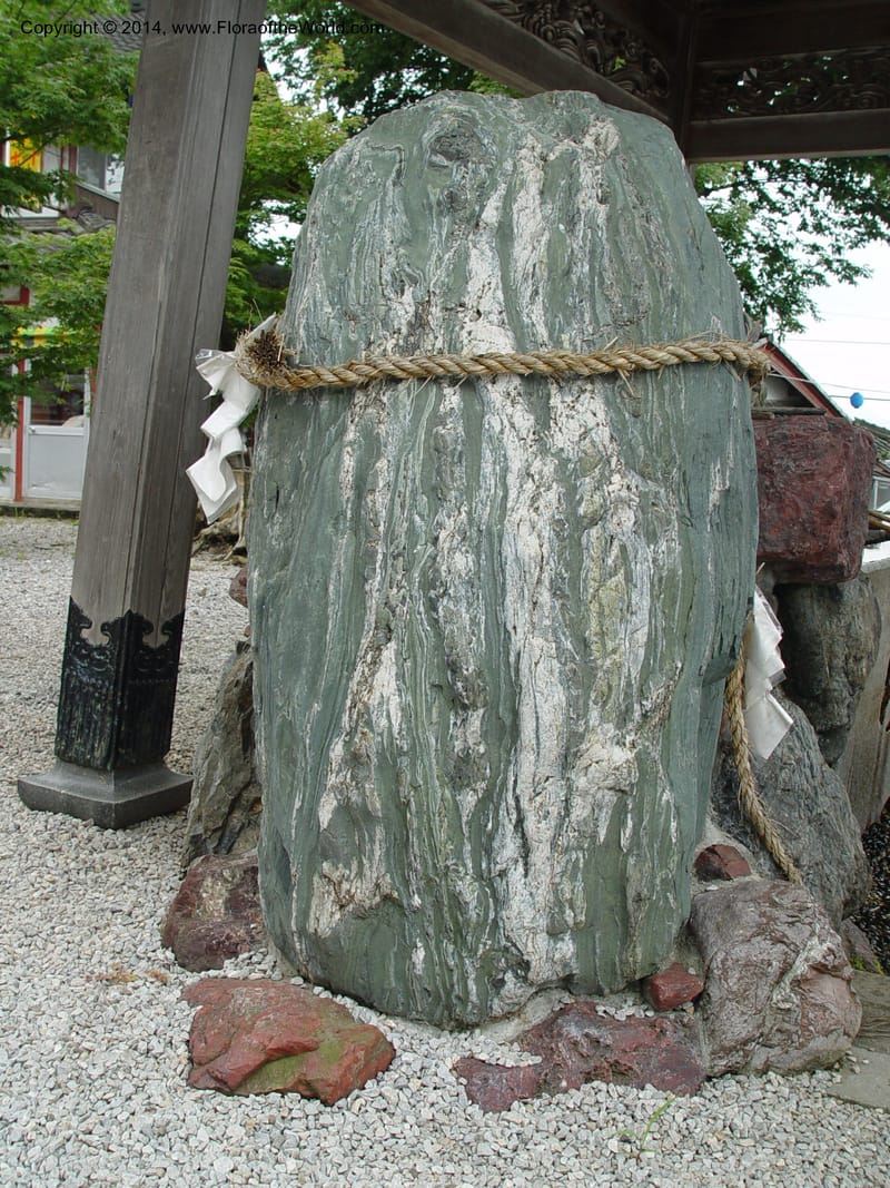Japan. Temple in Ibuki-cho.  CD18 Jul 03. 009.jpg