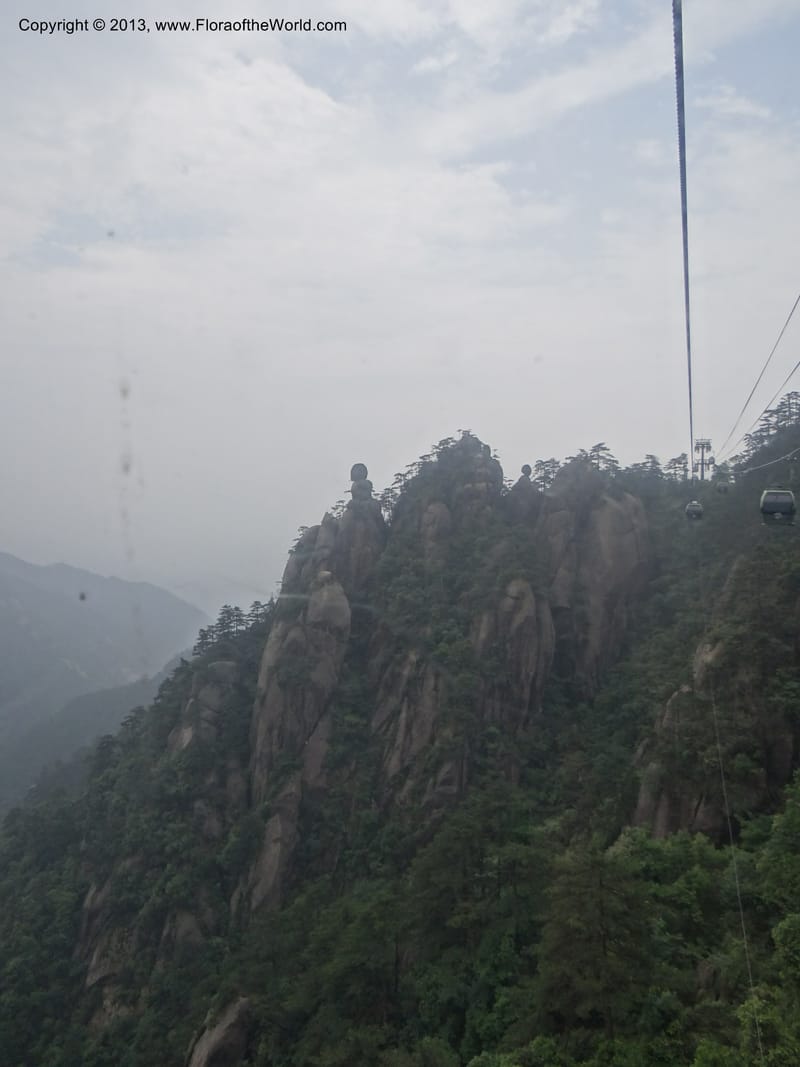 China. Anhui Prov. Huang Shan. 8 Jun 2012. DSC02431 (171).JPG