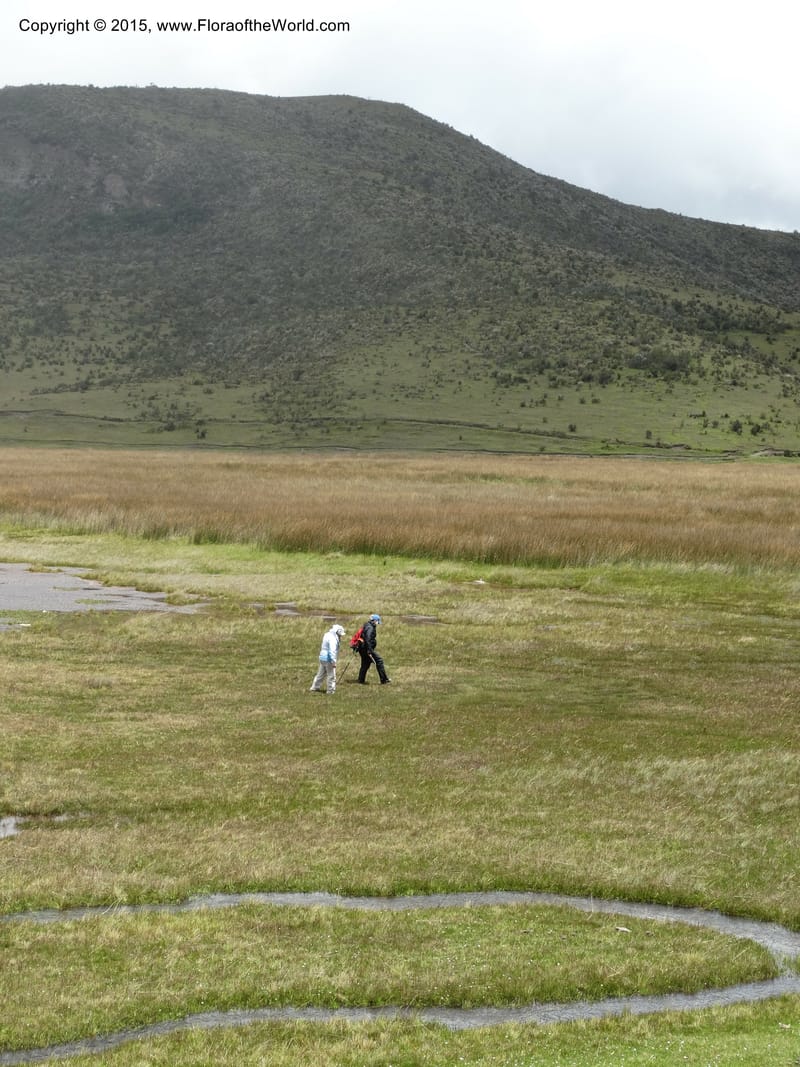 Ecuador. Cotopaxi. 23 Apr 2015. DSC02466 (88).JPG