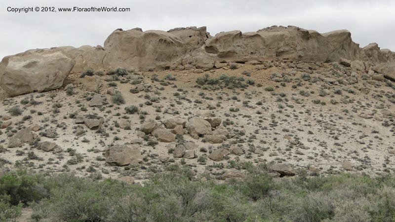 Idaho. 22 April 2010 144.jpg
