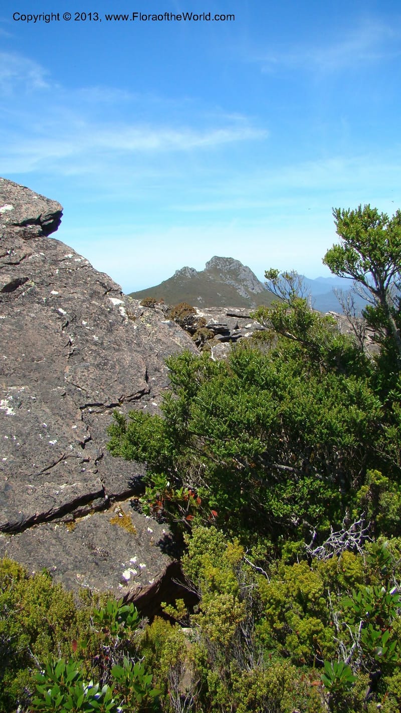 Tasmania. Tim Shea. 30 Jan 2010. 114.jpg