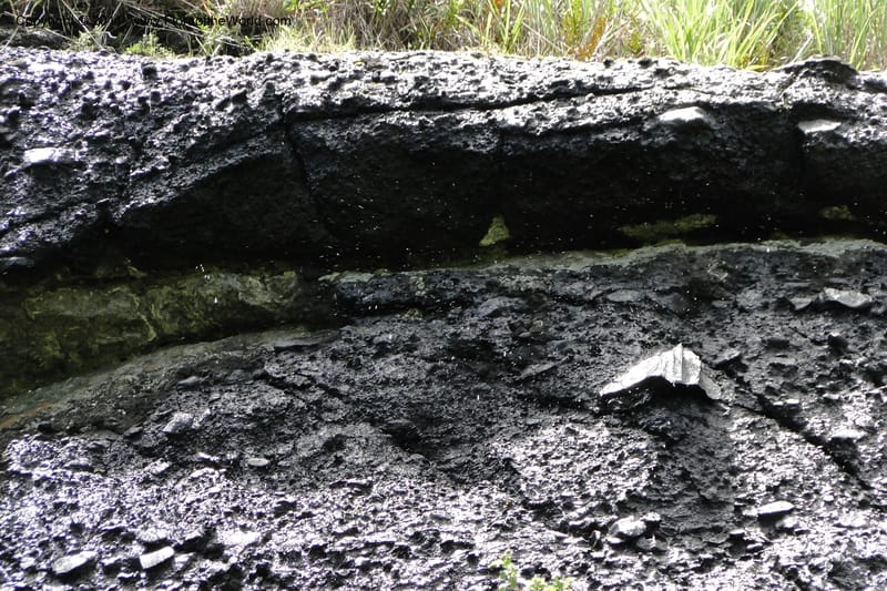 Fiji. Abaca Village. 11 Feb 2011. 083.jpg