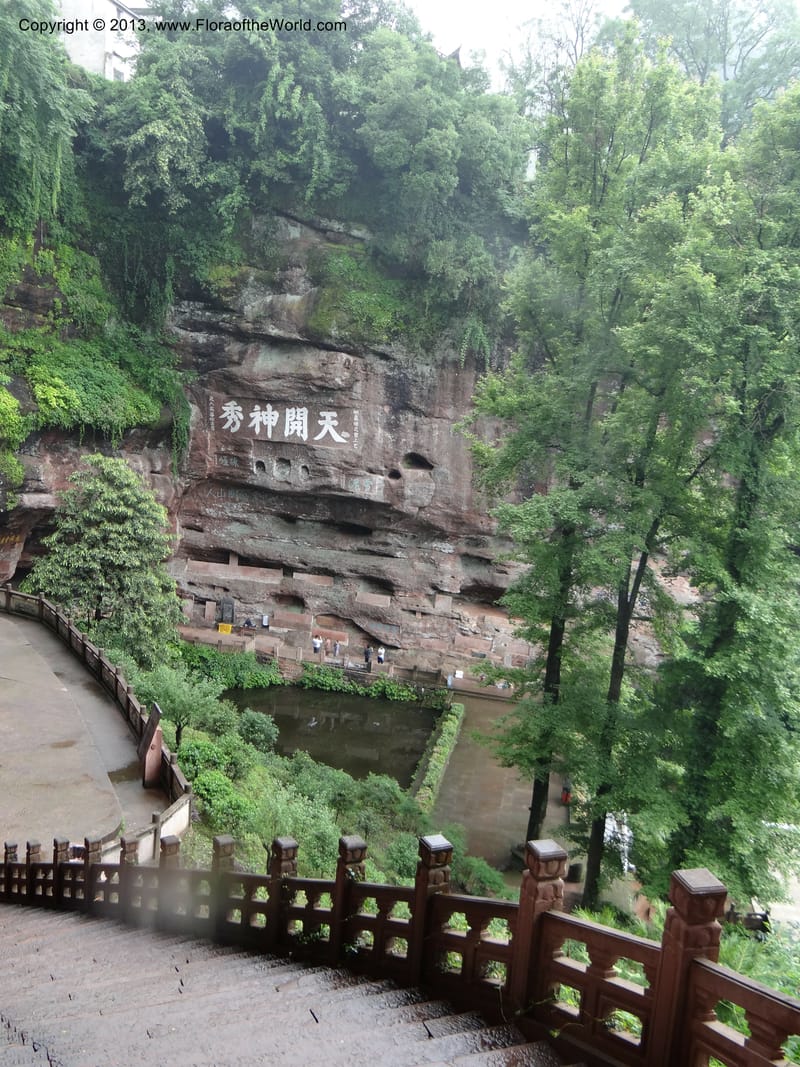 China. Anhui Prov. Qiyun Shan. 7 Jun 2012. DSC01929 (91).JPG