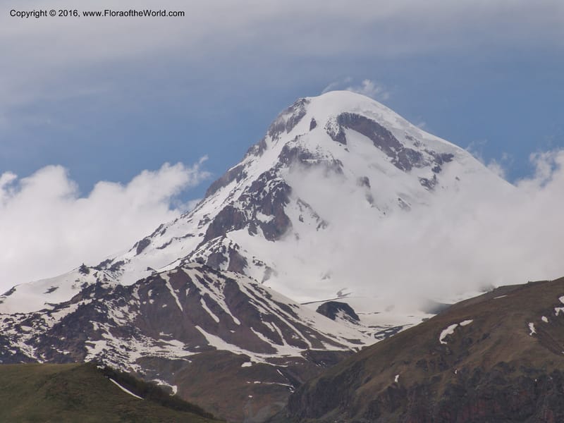 Georgia. Kazbegi Peak. Trail-road to Sameba Church. 2 Jun 05. 467 (1).jpg