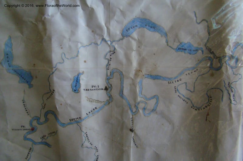 Peru. Loreto. Dto. Parinari. CochaHuishto R. Samiria. 13 Nov 08. 101.jpg