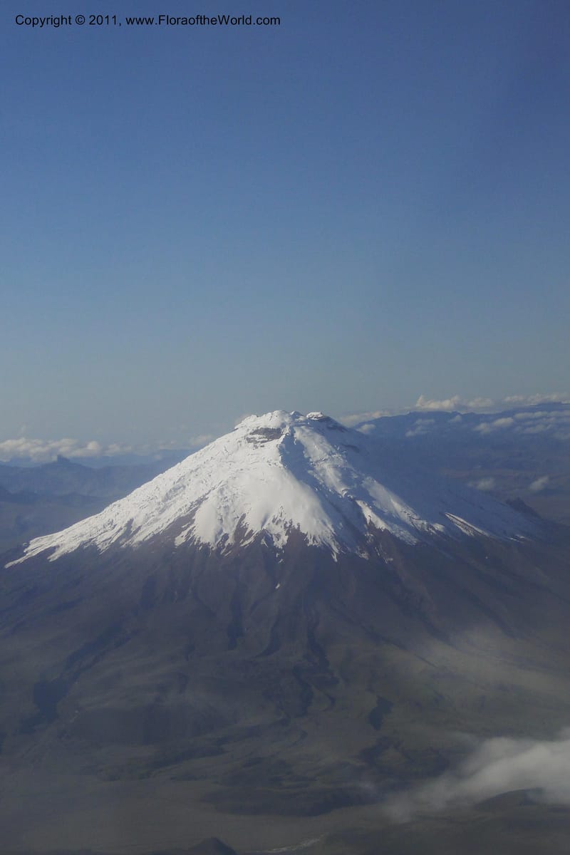 Volcan Cotopaxi--Ecuador. Azuay. P. N. Cajas. 8 Jun 2011. 010 (4).jpg