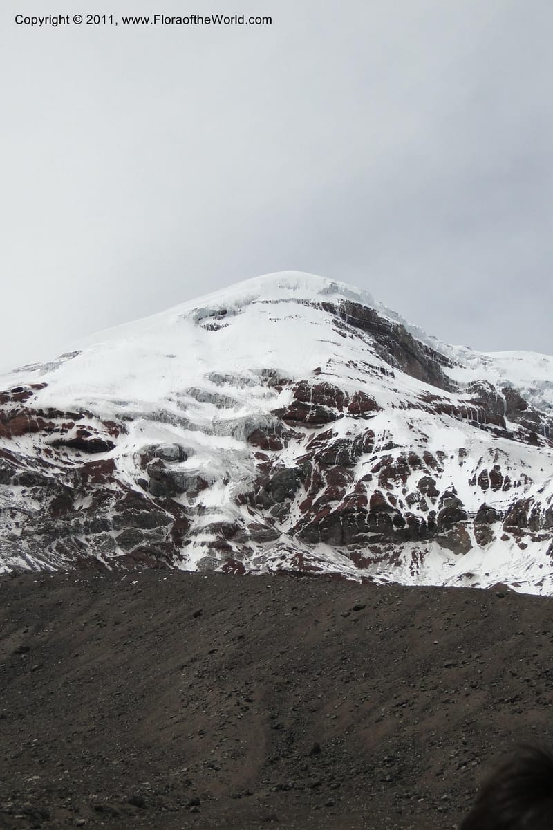 Ecuador. Chimborazo. El Primer Refugio. 5 Jun 2011. 147.jpg