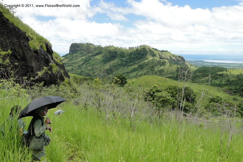 Fiji. Abaca Village. 11 Feb 2011. 089.jpg