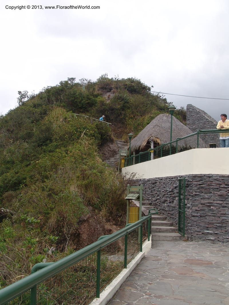 Ecuador. Prov. Imbabura.Laguna Cuicocha. 13 Sep 07. 112.jpg