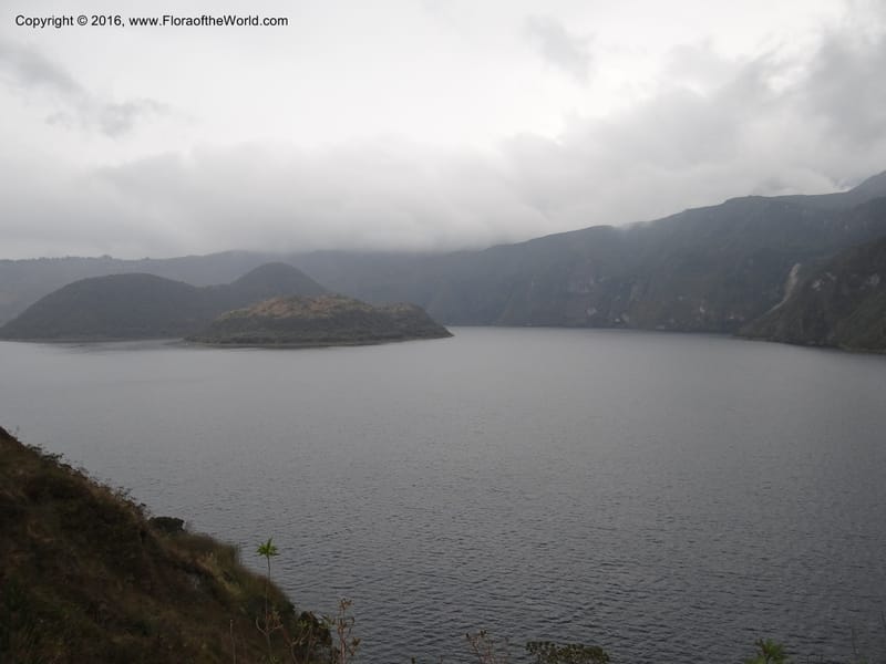 Views of Cotacachi Cayapas and Laguna Cuicocha. 4 Oct 2012. DSC06697 (8).JPG